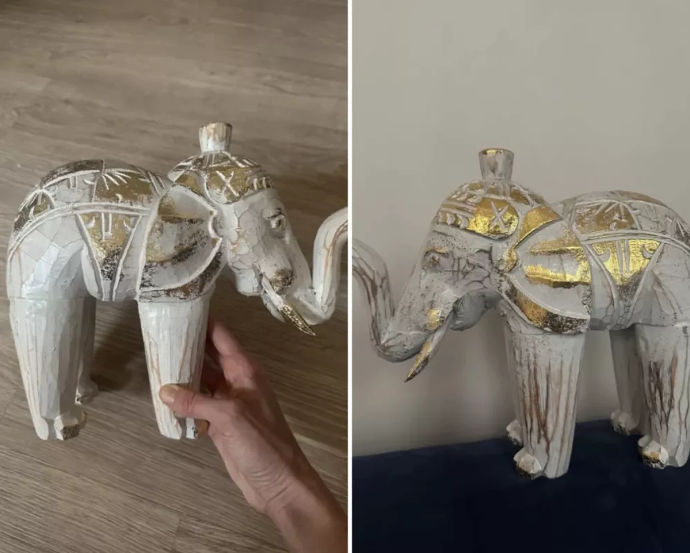 Balietiškas dramblys - , namai ir interjeras 3