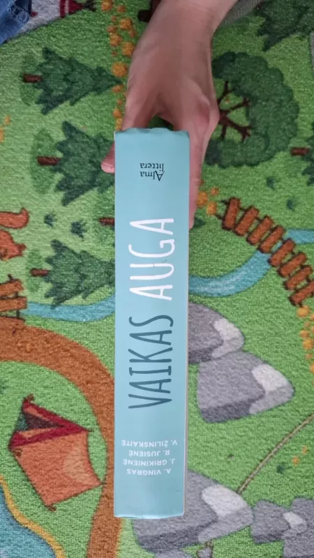 Vaikas auga - Algimantas Vingras, knyga 3