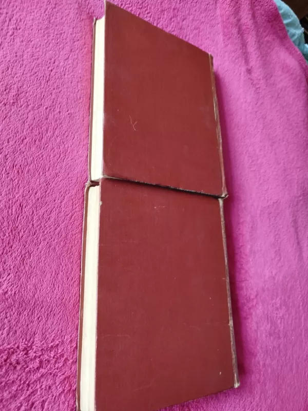 Don Kichotas (I-II dalys) - Migelis de Servatesas, knyga 6