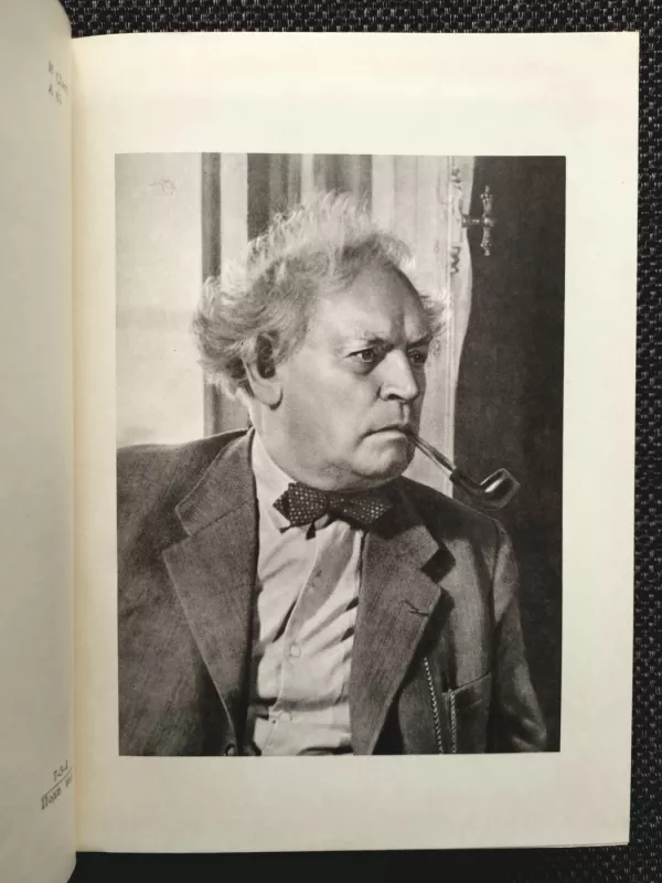 Ditte - ditja čelovečeskoe - Martin Andersen-Neksë, knyga 4