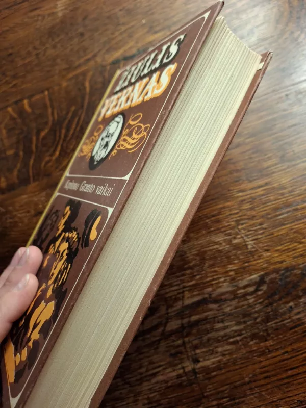 Kapitono Granto vaikai - Žiulis Vernas, knyga 2