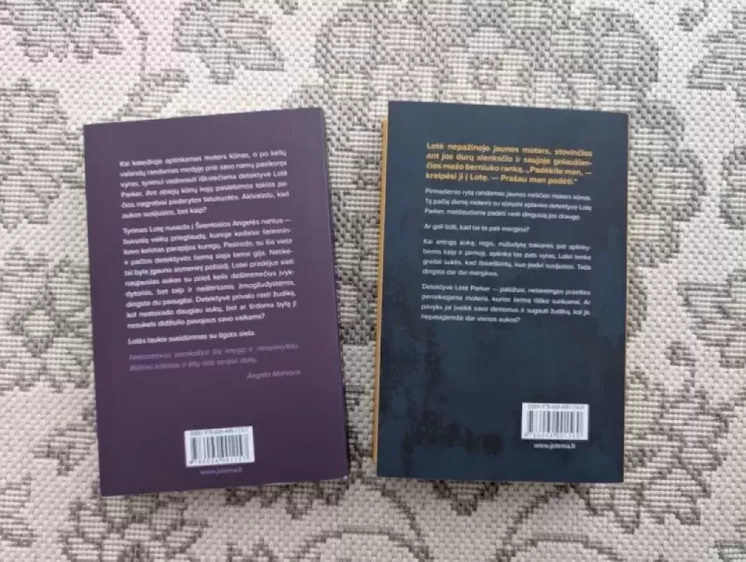 Dingusieji - Patricia Gibney, knyga 3