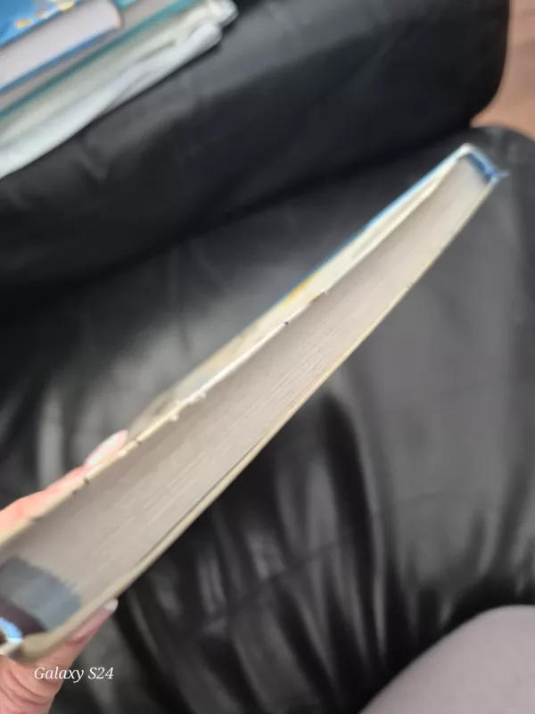 Gero maisto dienoraštis. Žiema. - Renata Ničajienė, knyga 4