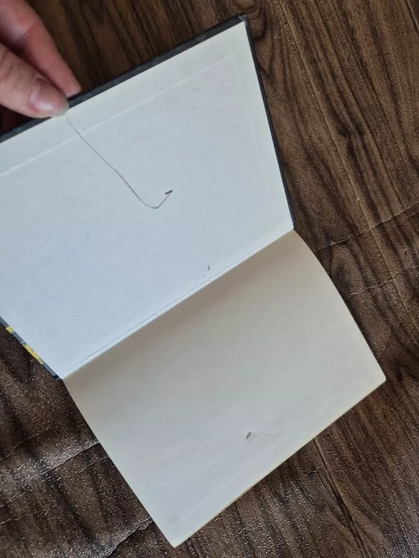 Raganiukė - Otfrydas Proisleris, knyga 3