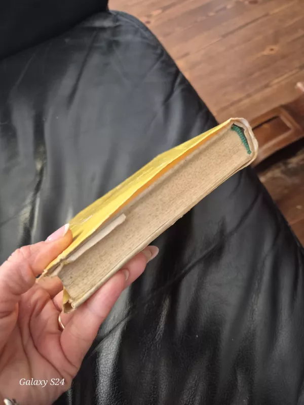 Trejos devynerios - Teofilis Tilvytis, knyga 5