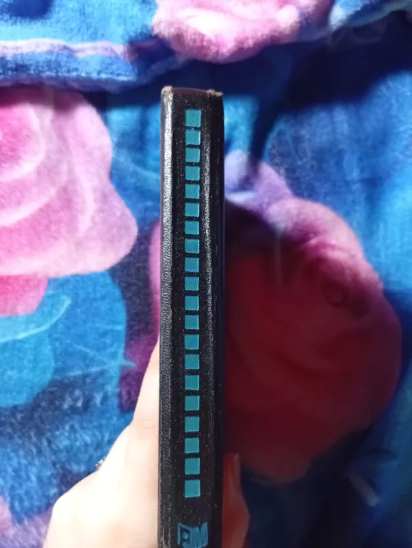 Daktaro Dolitlio plaukiojanti sala - Hju Loftingas, knyga 4