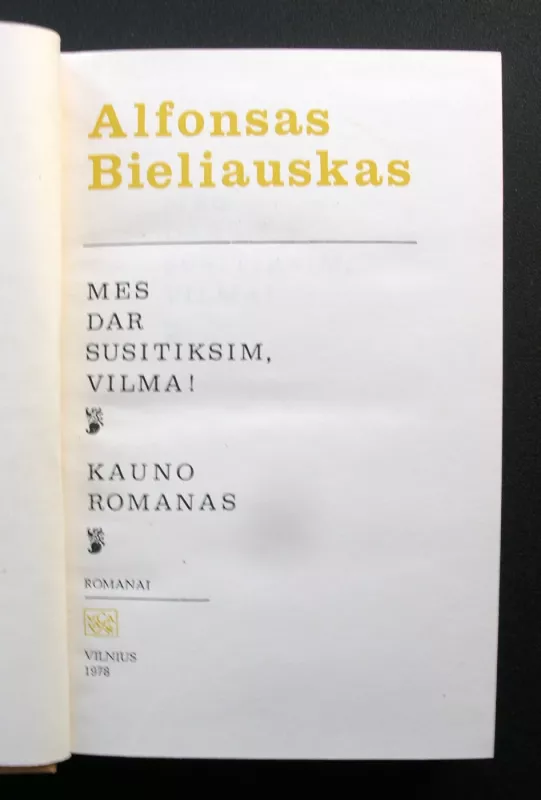 Mes dar susitiksim, Vilma! Kauno romanas - Alfonsas Bieliauskas, knyga 4