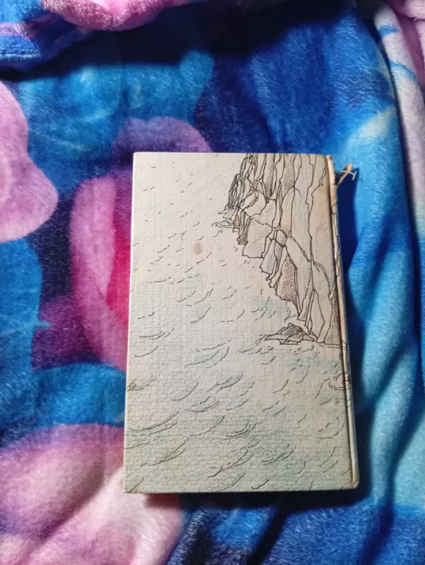 Užmirštoji sala - Edgaras Barouzas, knyga 3