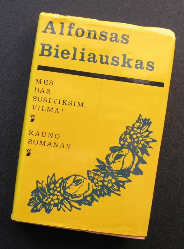 Mes dar susitiksim, Vilma! Kauno romanas - Alfonsas Bieliauskas, knyga 2