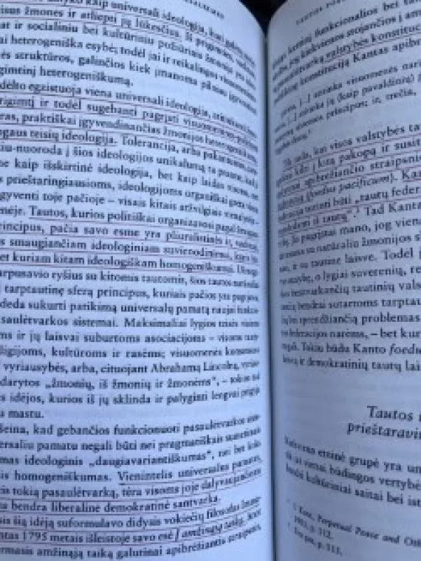 Aleksandras Štromas. Laisvės horizontai - Liūtas Mockūnas, knyga 5
