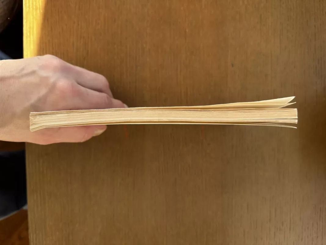 Pagonybė Lietuvoje - Pranė Dundulienė, knyga 3