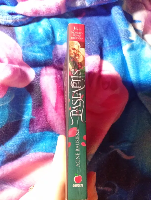 Noroko rūmų trilogija: Paslaptis, Paveldėjimas, Pranašystė - Agnė Bausienė, knyga 3