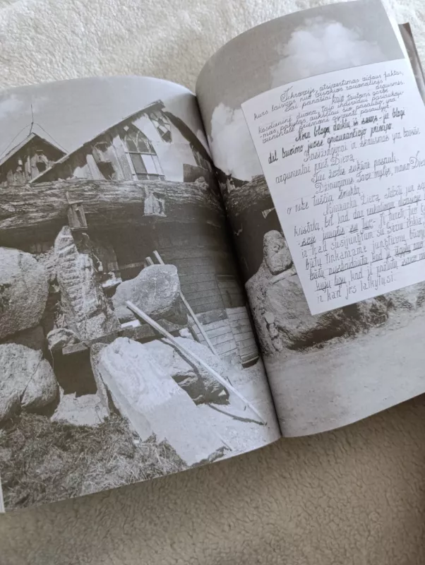 Kitoks Vilius Orvidas - Daina Parulskienė, knyga 5