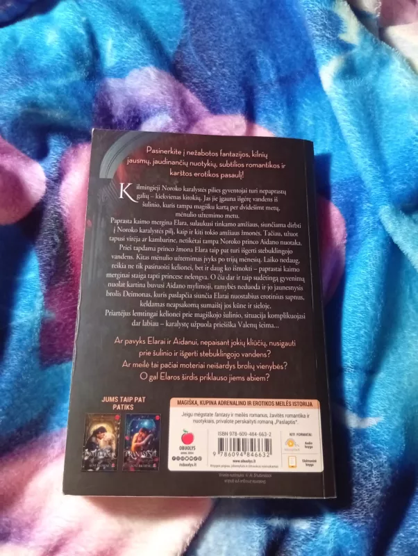 Noroko rūmų trilogija: Paslaptis, Paveldėjimas, Pranašystė - Agnė Bausienė, knyga 4