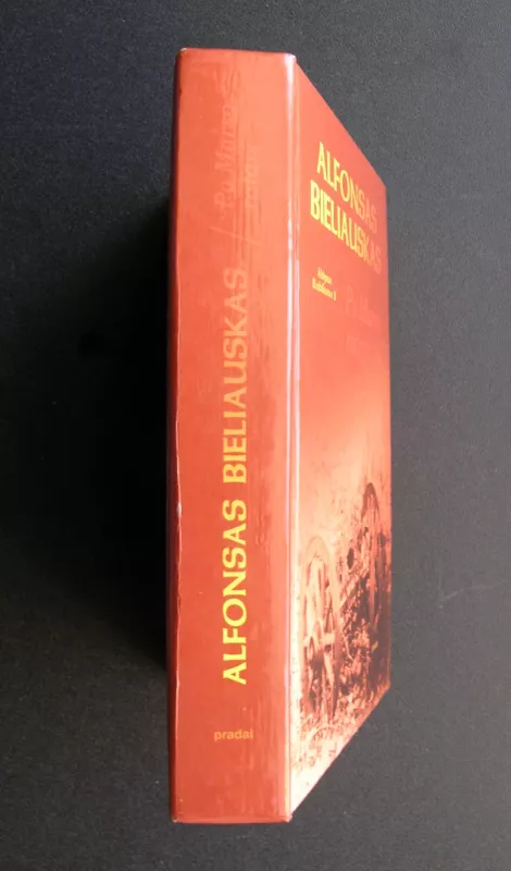 Abipus Rubikono (2 dalis): Po Marso ratais: paliudijimai - Alfonsas Bieliauskas, knyga 5