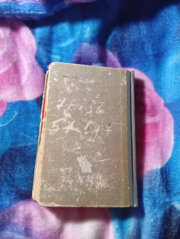 Raudona gatvė - Viktoras Kava, knyga 4