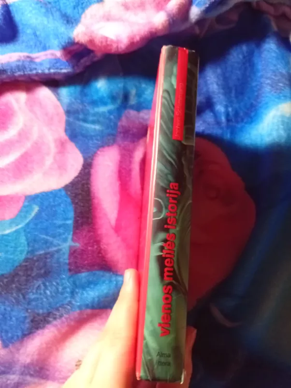 Vienos meilės istorija - Jochen Schimmang, knyga 4