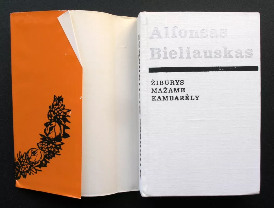 Žiburys mažame kambarėly - Alfonsas Bieliauskas, knyga 3