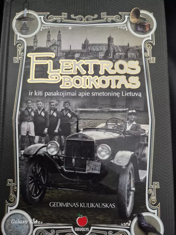 Elektros boikotas ir kiti pasakojimai apie smetotinę Lietuvą - Gediminas Kulikauskas, knyga 2