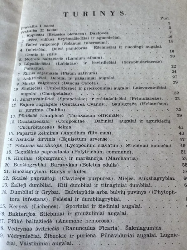 Augalų sistematika - Prof. K. Ragelis, knyga 4