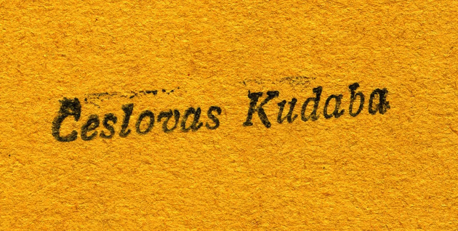 Dr. Kazys Grinius. Gydytojas. Visuomenininkas - Dr. V. Tercijonas, knyga 4