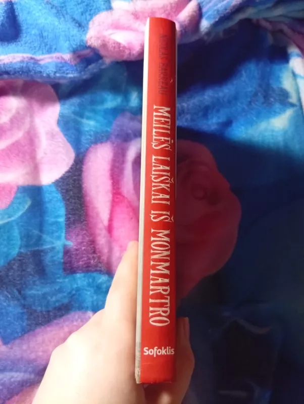 Meilės laiškai iš Monmartro - Nicolas Barreau, knyga 4