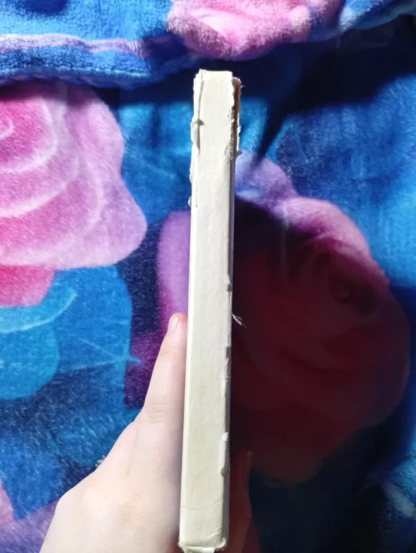 Lietuvos praeities vaizdai. Ką kalneliai pasakoja - Jonas Remeika, knyga 4