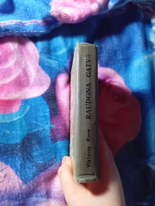 Raudona gatvė - Viktoras Kava, knyga 3