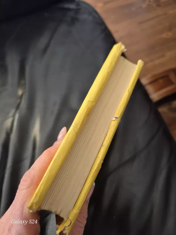 Trejos devynerios - Teofilis Tilvytis, knyga 2