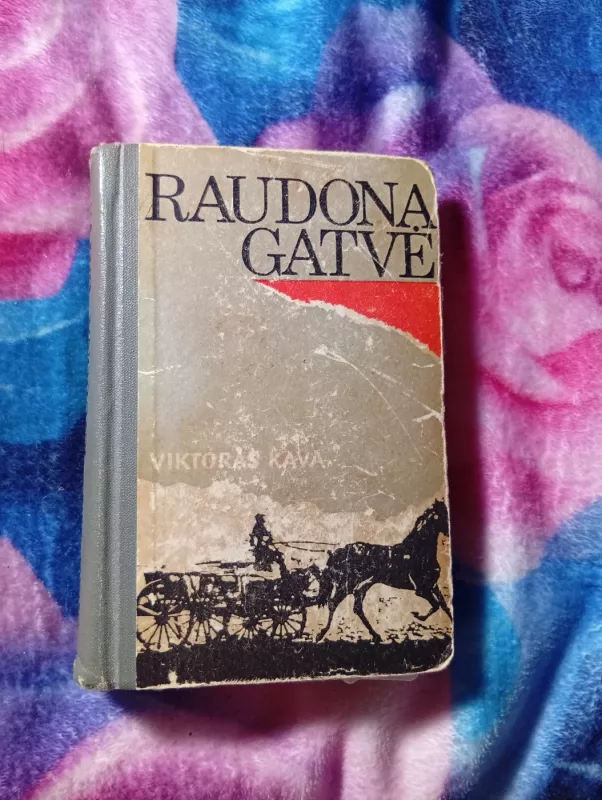 Raudona gatvė - Viktoras Kava, knyga 2