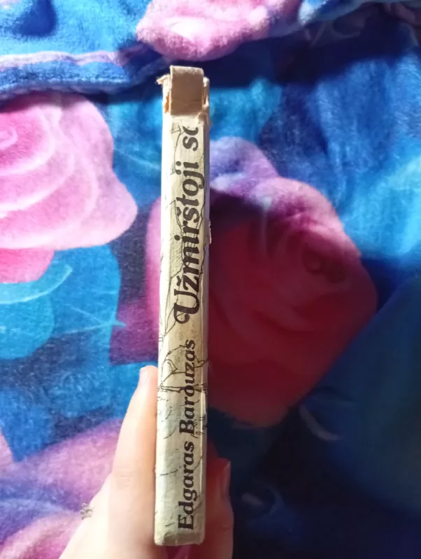 Užmirštoji sala - Edgaras Barouzas, knyga 4