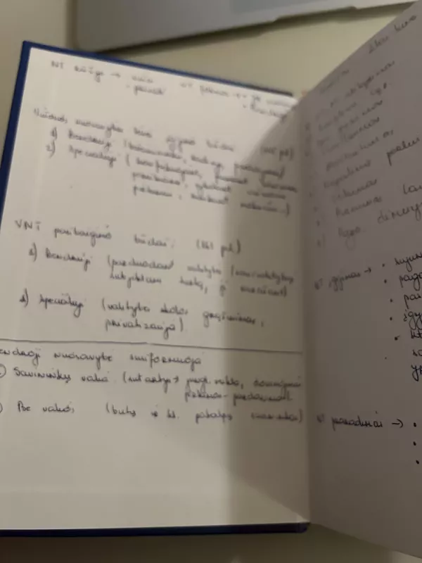 Daiktinė teisė - Egidijus Baranauskas ir kiti, knyga 4