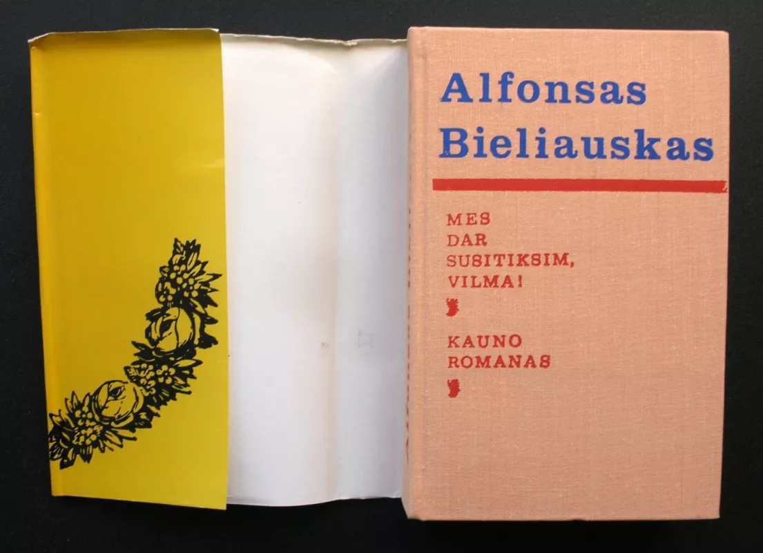 Mes dar susitiksim, Vilma! Kauno romanas - Alfonsas Bieliauskas, knyga 3