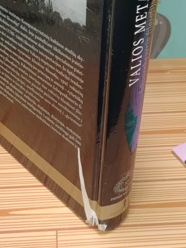 Valios metafizika: Schopenhauerio filosofijos interpretacijos - Autorių Kolektyvas, knyga 5