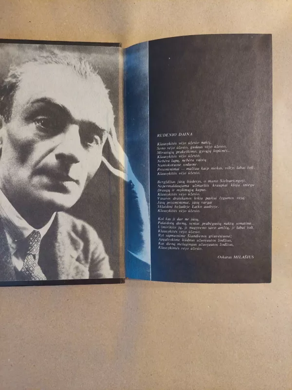 Septynios vienatvės Paryžiuje - Laimonas Tapinas, knyga 4