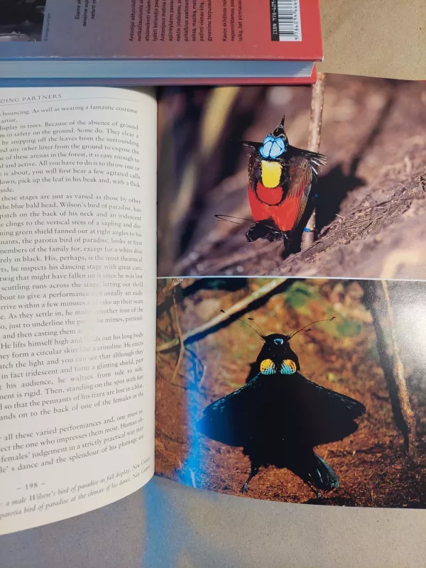 The Life of Birds - David Attenborough, knyga 4