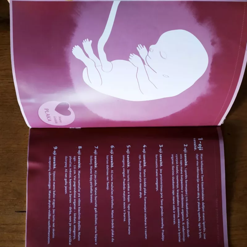 Mano pirmasis dienoraštis - Autorių Kolektyvas, knyga 2