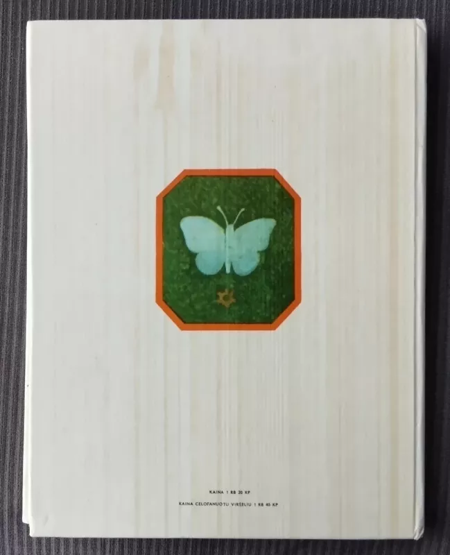 Robotas ir peteliškė - Vytautė Žilinskaitė, knyga 4