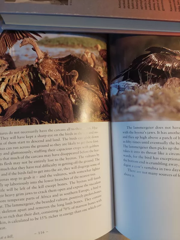 The Life of Birds - David Attenborough, knyga 6