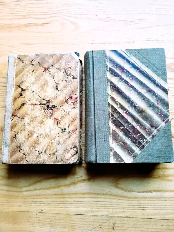 Polnoe Sobranie Sočinenii Henrika Ibsena / T.1 - T.2 - Henrik Ibsen, knyga 3