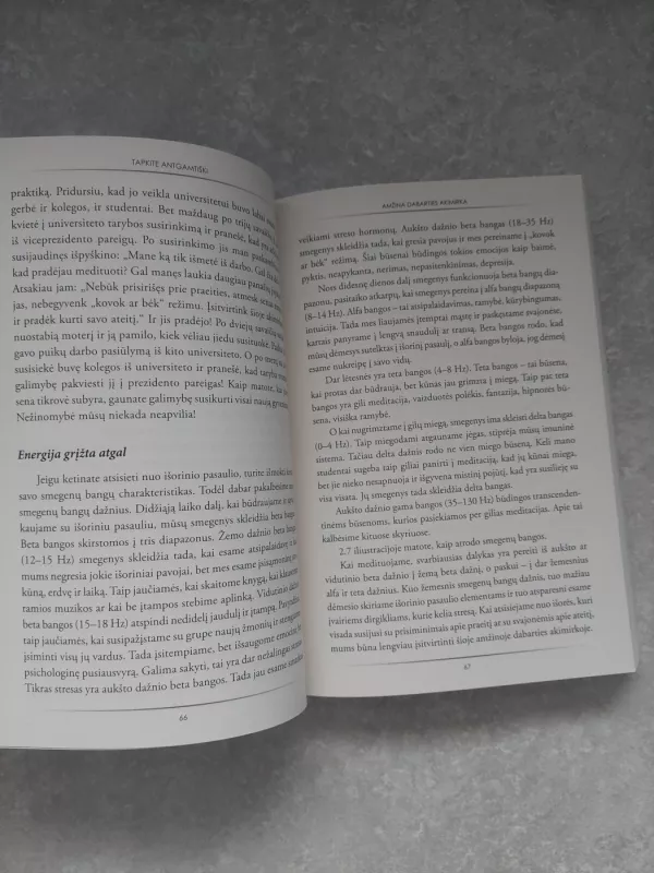 TAPKITE ANTGAMTIŠKI: nepaprasti paprastų žmonių pasiekimai - Dr. Joe Dispenza, knyga 6