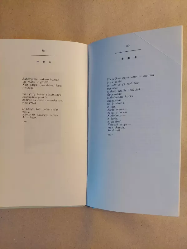 Vienintelė žemė - Justinas Marcinkevičius, knyga 4