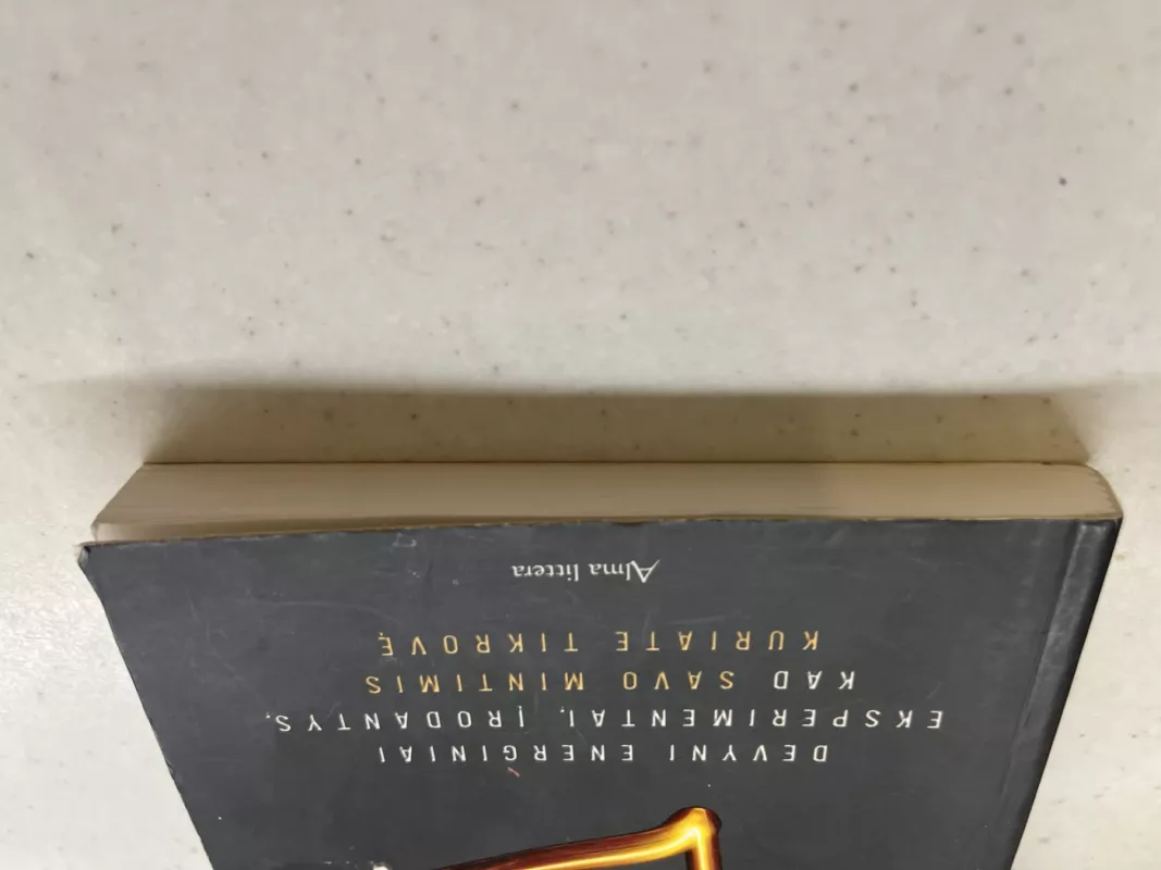 E kvadratu. Devyni energiniai eksperimentai, įrodantys, kad savo mintimis kuriate tikrovę - Pam Grout, knyga 4