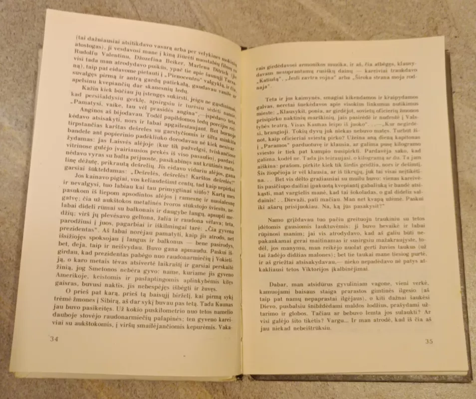 Nė vienas nebuvo pagailėtas - Romualdas Lankauskas, knyga 4