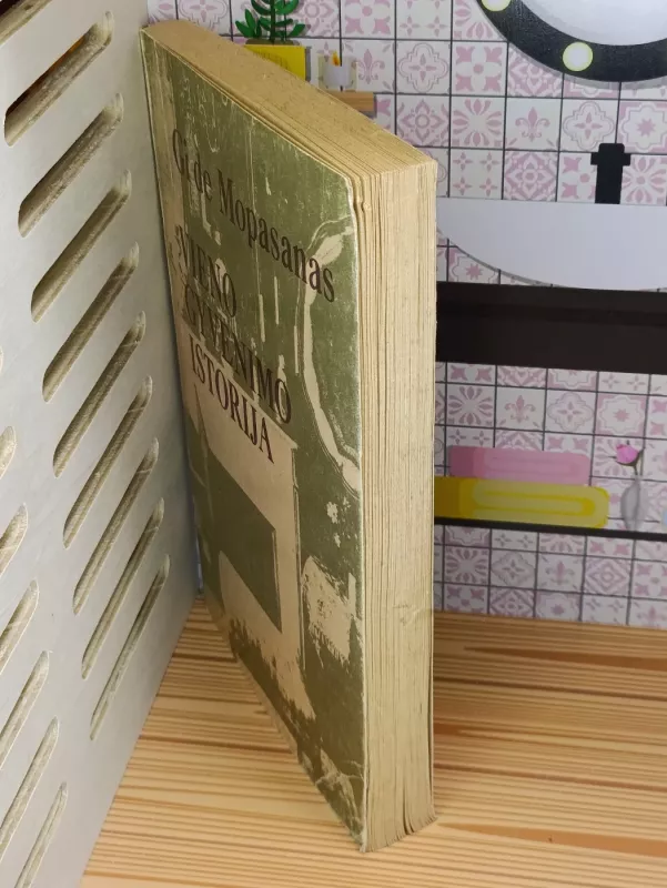 Vieno gyvenimo istorija - Gi De Mopasanas, knyga 4