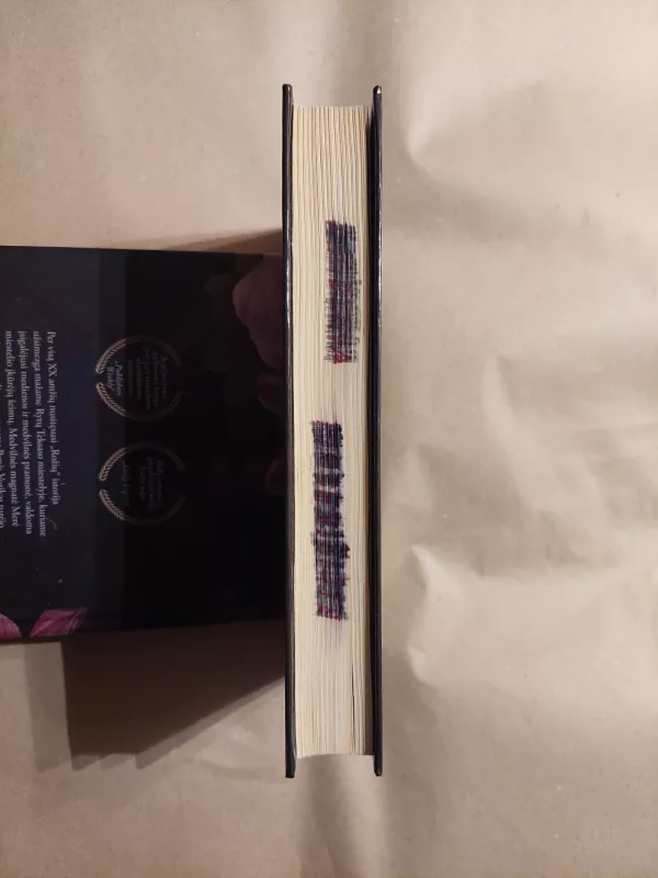 Septynios vienatvės Paryžiuje - Laimonas Tapinas, knyga 5