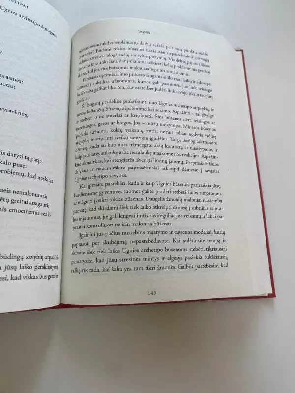 Penki archetipai - Carey Davidson, knyga 2