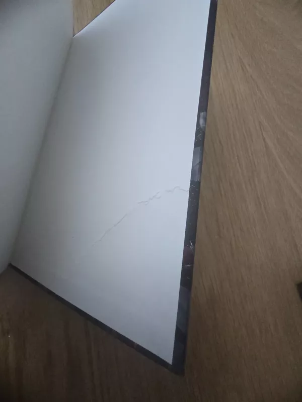 Adelinos vaiduokliai. - H. D. Carlton, knyga 4