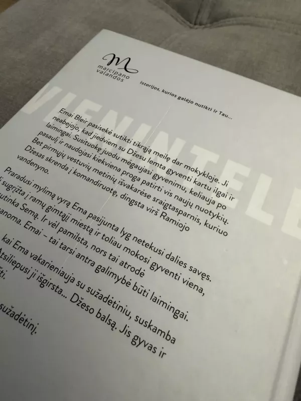 Vienintelė (tikra) meilė - Taylor Jenkins Reid, knyga 4