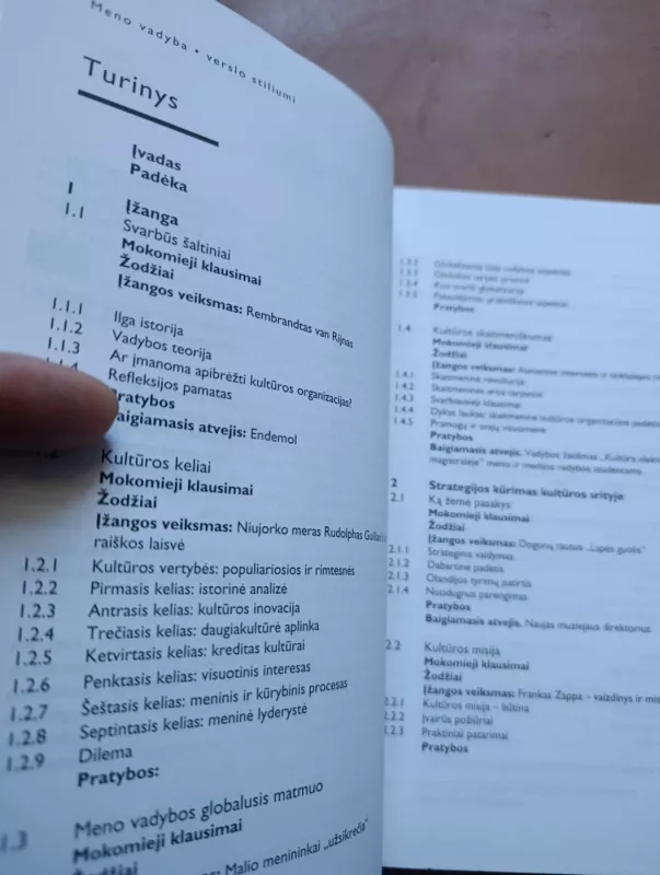 Meno vadyba verslo stiliumi - Giep Hagoort, knyga 5